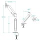 Arctic X1-3D Desk Mount Gas Spring Monitor Arm