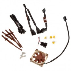 Noctua NF-A4x10 PWM Fan - 40mm (12V) Fan